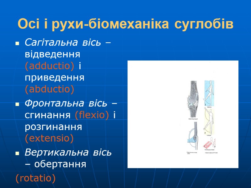 Осі і рухи-біомеханіка суглобів Сагітальна вісь – відведення (adductio) і приведення (abductio) Фронтальна вісь